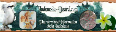 5 Indonesia Board