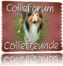 zum Collieforum