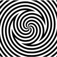 Brainwarp - eine optische Täuschung